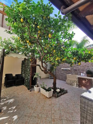 Il Giardino del Sol - image 4
