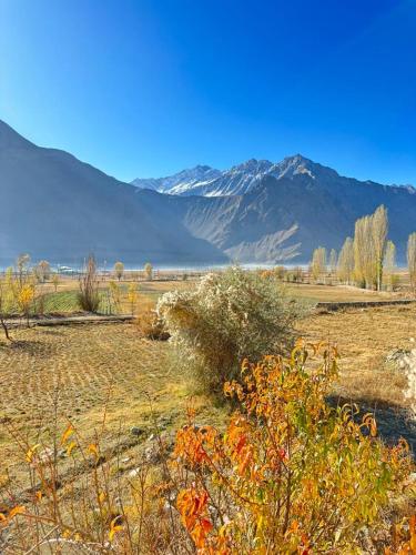 Hostel GUL in 霍羅格