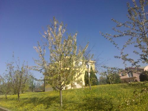 A környék, Villa Ivanka in Citluk