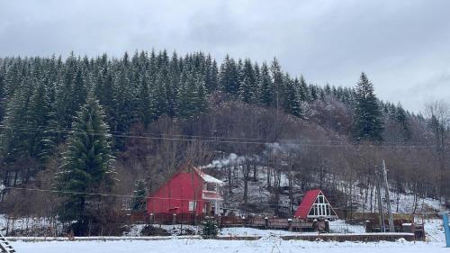 Red Chalet in Schitu Tarcău
