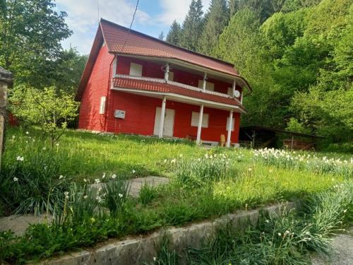 Dārzs, Red Chalet in Schitu Tarcău