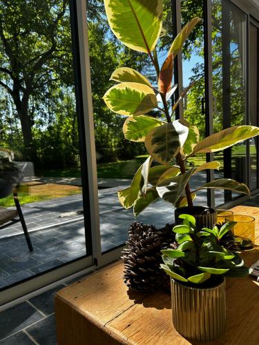 المنظر الخارجي, Nordic Bath Lodge In Normandy in Thury-Harcourt