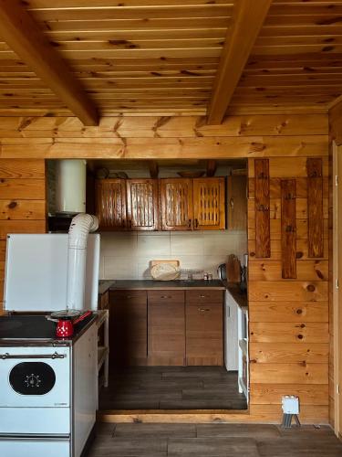 Red Forest house in Andrijevica