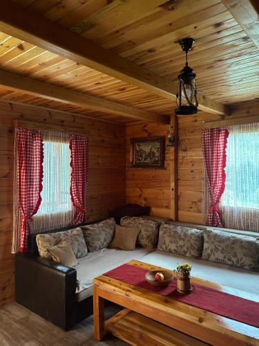 Red Forest house in Andrijevica