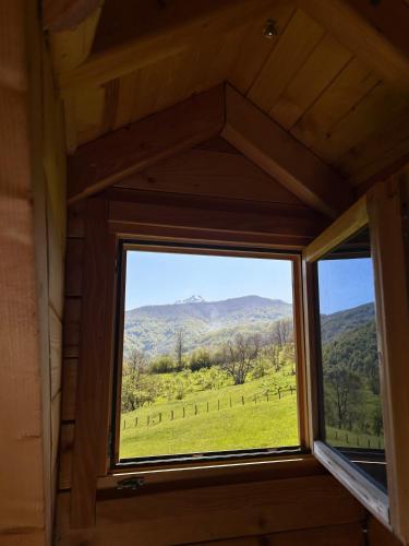 Red Forest house in Andrijevica