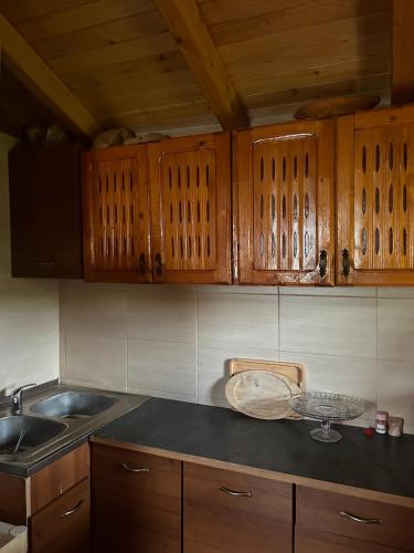 Red Forest house in Andrijevica