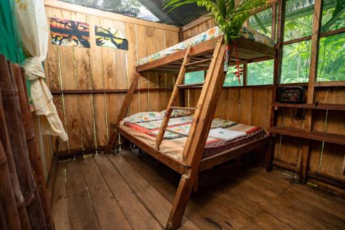 hostal las mariposas in Letīcija