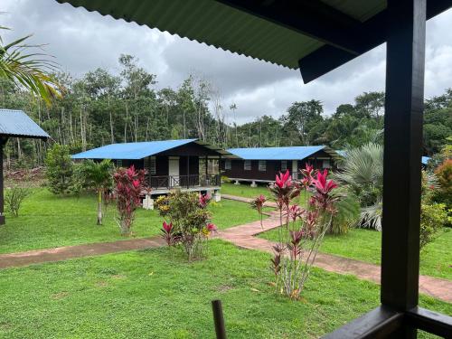 Gîte des Flamboyants Orion Pk 14 (Gite des Flamboyants Orion Pk 14) in Kuru