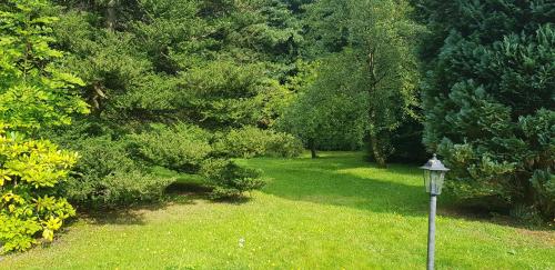 Ferienwohnungen-Waldblick-Wohnung-2 in Wildemann Center