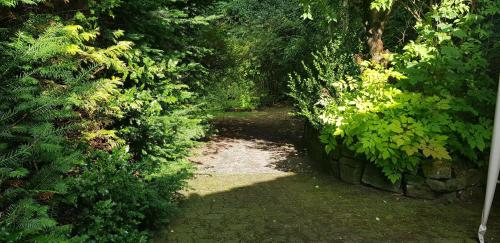 Ferienwohnungen-Waldblick-Wohnung-2 in Wildemann Center