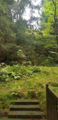Ferienwohnungen-Waldblick-Wohnung-2 in Wildemann Center