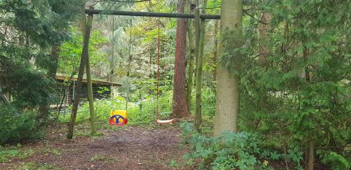 Ferienwohnungen-Waldblick-Wohnung-2 in Wildemann Center