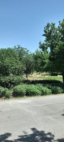 Garden By Ismail, Boukhara (photo 8)