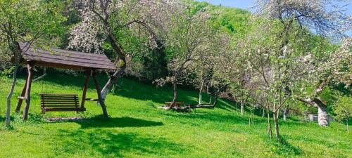 Під горою in 舍斯賀里