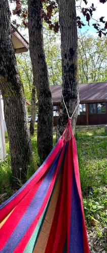 Бунгала Мишел, Varna (fotografie 3)