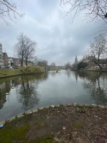 Le Flagey green place, Bruxelles (photo 8)