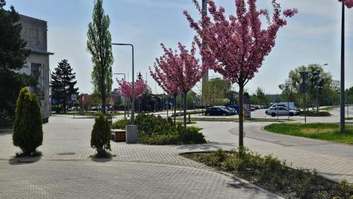 Artystyczna przestrzeń przy Zabytkowym Dworcu