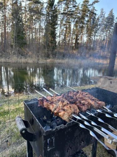 Grisli glempings in Gauja