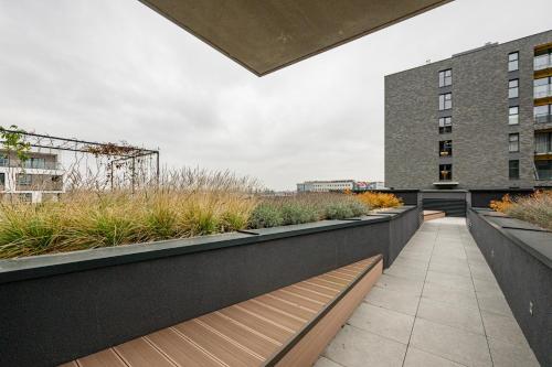 Legnicka Residence 36, Breslau (Foto 6)