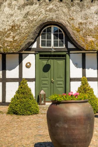 Solbjerggaard Bed & Breakfast, Faaborg