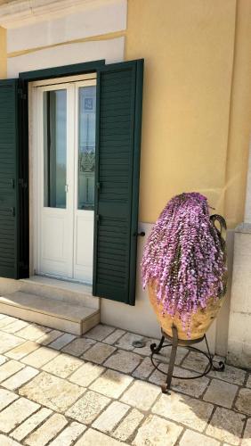 Oleum, Mesagne (photo 10)