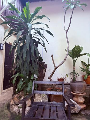 حديقة, Manotemple Guest House in بان مانو