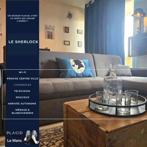 Le Sherlock - Location saisonnière - Le Mans