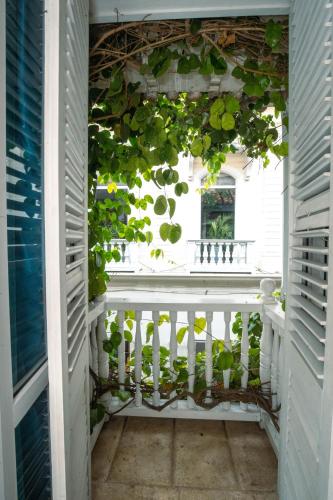 Superior Suite image 1