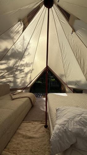 Glamping under the pines in Vėliučionys