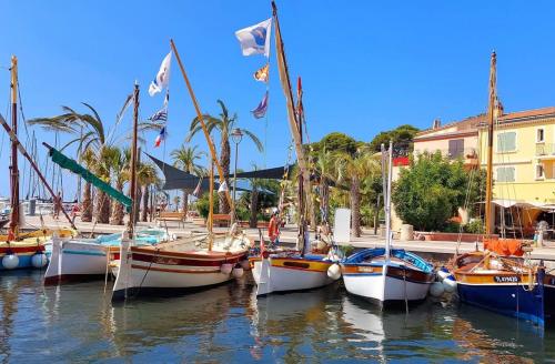 presqu'il de st Mandrier sur mer var location saisonnières - Location saisonnière - Saint-Mandrier-sur-Mer