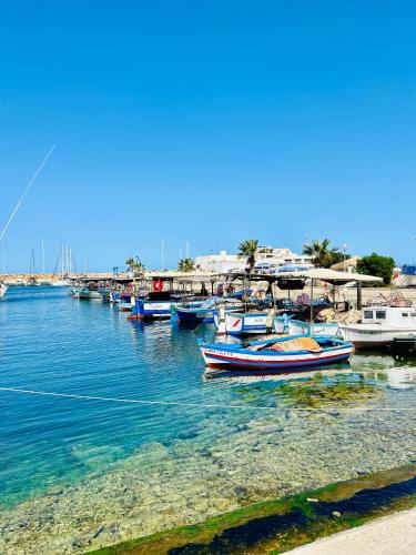 Marina Cap Monastir - lovely apartment for 4, Monastir