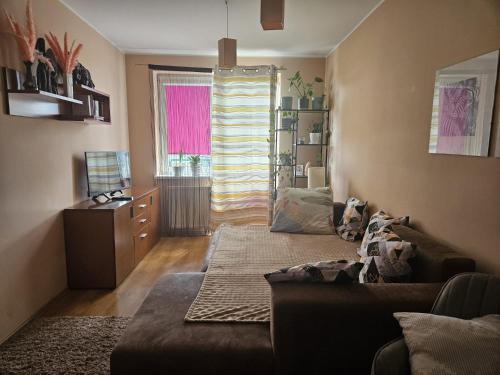 Gracious stay shared apartment