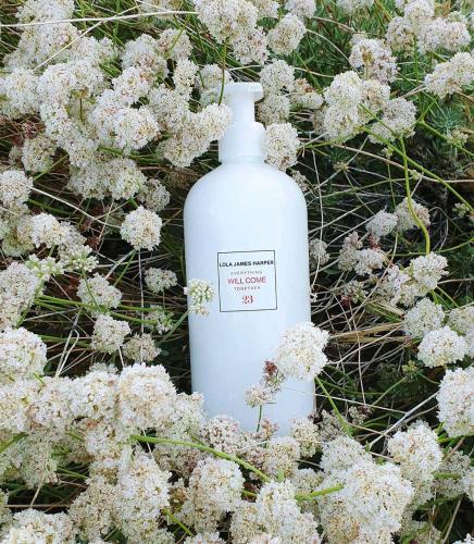 Ribera Eiffel - image 2