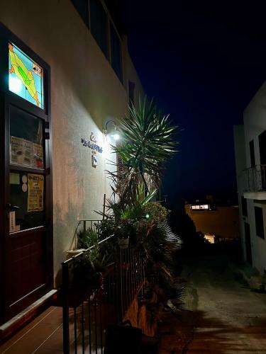 Isoladelmiele, Marettimo (foto 4)