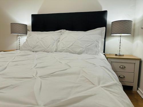 Elegant Room in Glasgow City Center, Glasgow (photo 3)