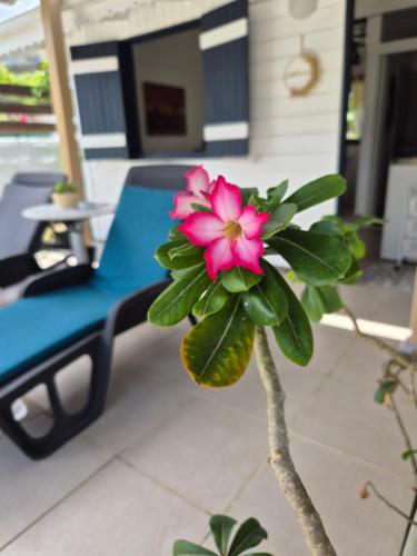 Paradise in Baie-Mahault