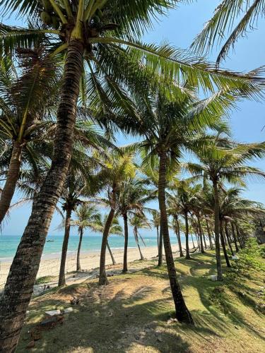 Sunshine Beach House - Center Of The Beach - 주변 환경
