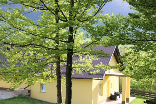 . Apartman Juka