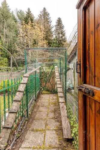 Have, Casa Laura Nature and Art in the heart of Tuscany in Rufina