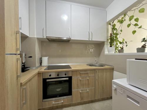 Plaza Apartment - image 2