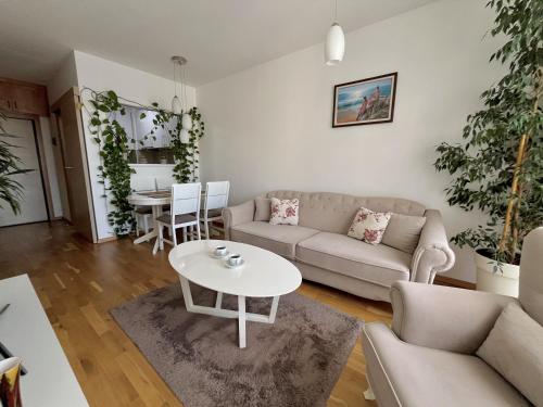 Plaza Apartment - image 5