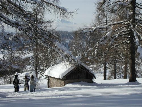 Tschögglbergerhof