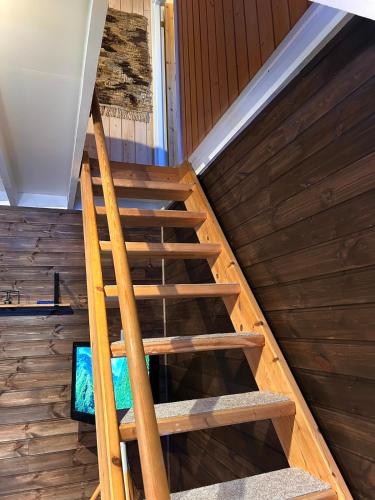 Modern cabin in amazing hiking area! in Gol