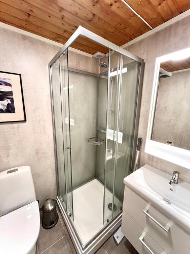 Modern cabin in amazing hiking area! in Gol