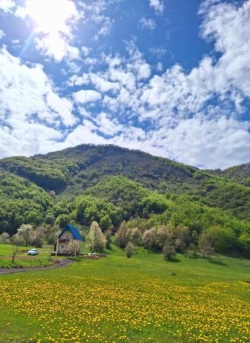 Vila Paramida, Šavnik (фото 3)