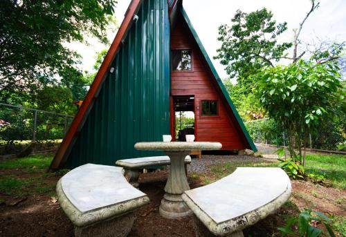 A környék, Betulio's Oasis in Fortuna