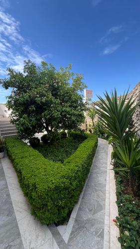 Room with balcony and Seaview, Ulcinj (foto 2)