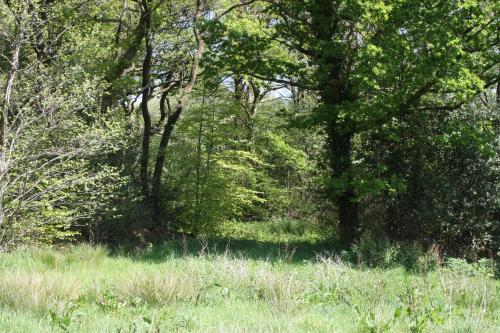 Vaade, Buzzard's Nest Glamping Walnut in Higher Wambrook