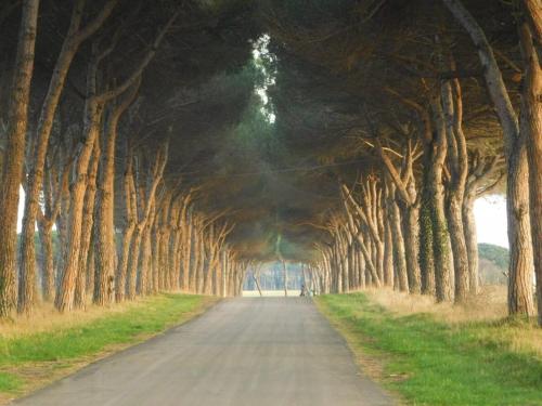  Pigreco, Pension in Coltano