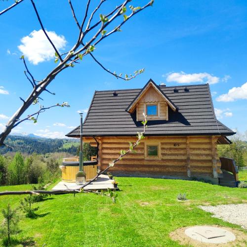 Niedzwiedzia Chatka - Nova Lesna